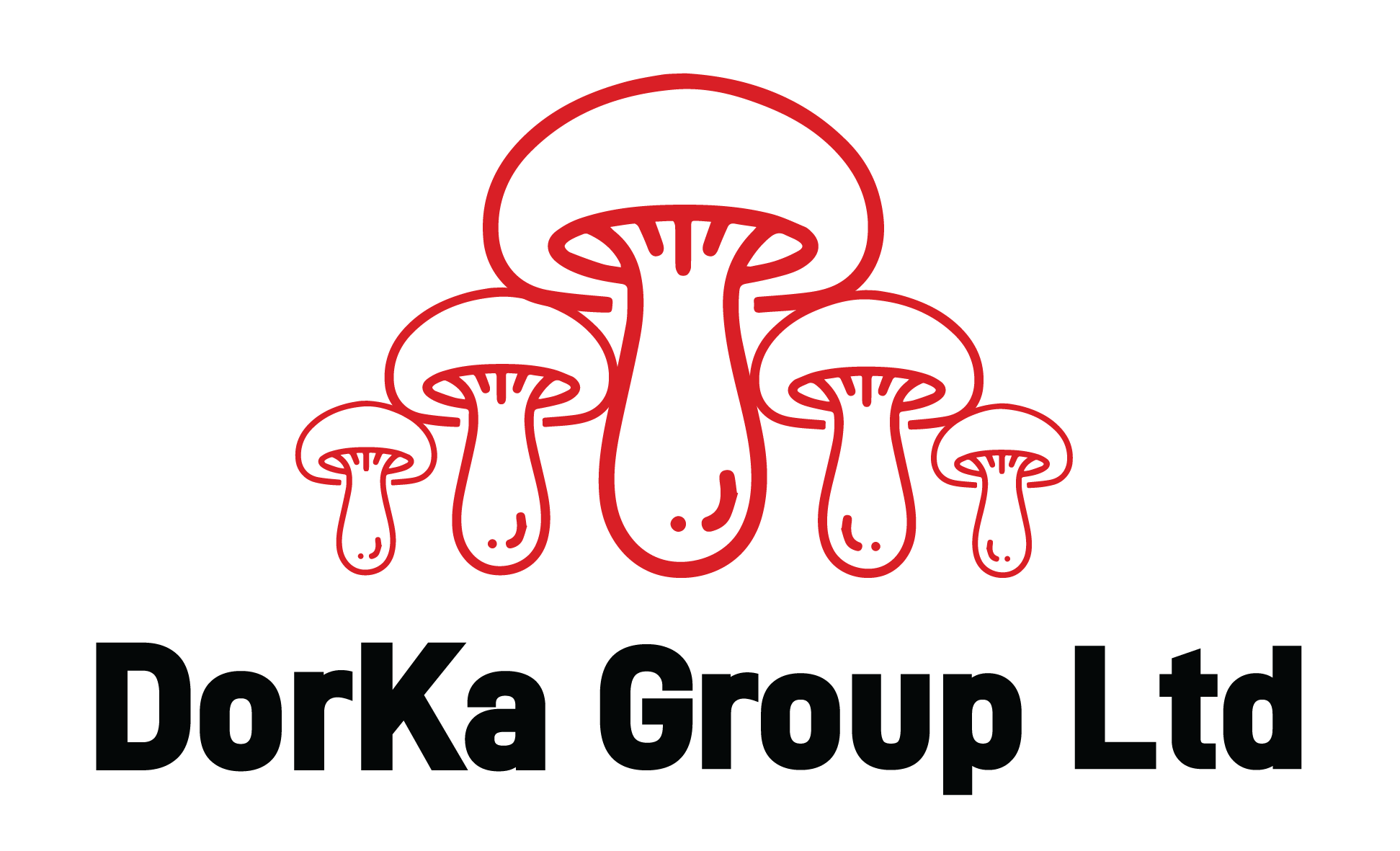 DorKa Group Ltd